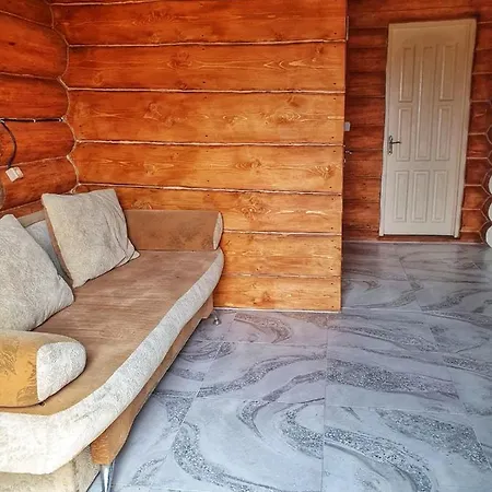 відпочинок у закарпатті з карпатським чаном Holiday home
