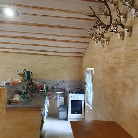 відпочинок у закарпатті з карпатським чаном Holiday home Kushnytsya