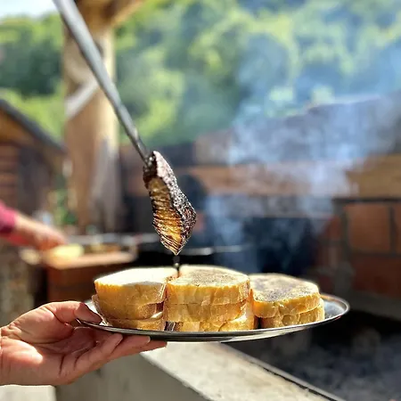 펜션 відпочинок у закарпатті *