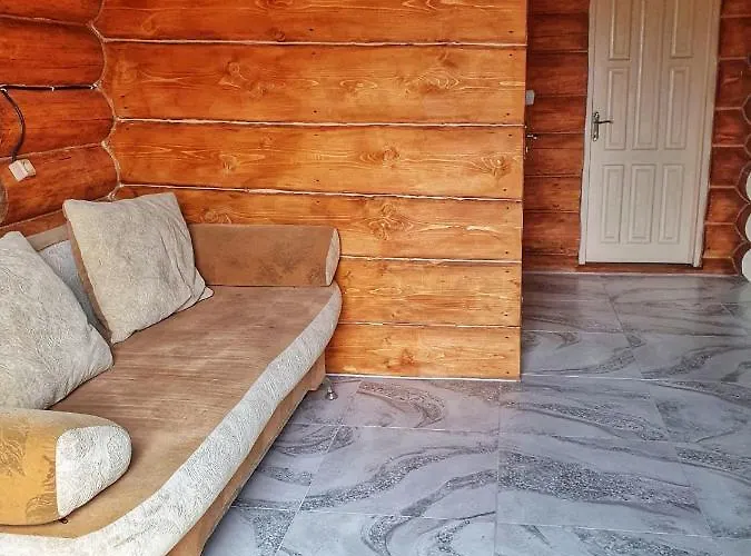 відпочинок у закарпатті Holiday home