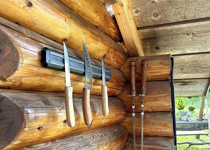 відпочинок у закарпатті Holiday home *