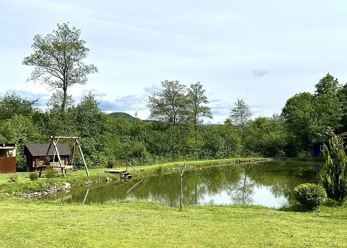 відпочинок у закарпатті Holiday home