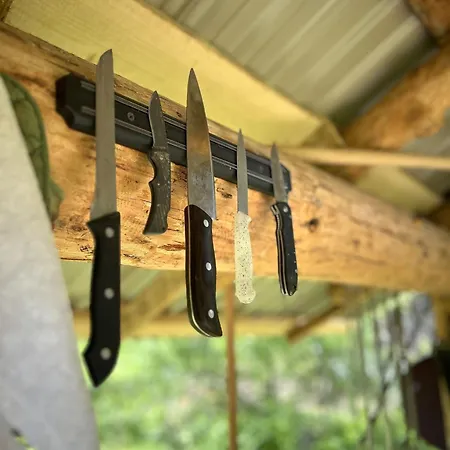 Tatil Evi відпочинок у закарпатті