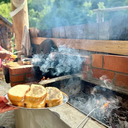 Tatil Evi відпочинок у закарпатті *